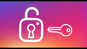 CMD Instagram Çalma Kodu